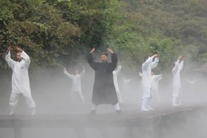master Zhong Yun Long dans la brume